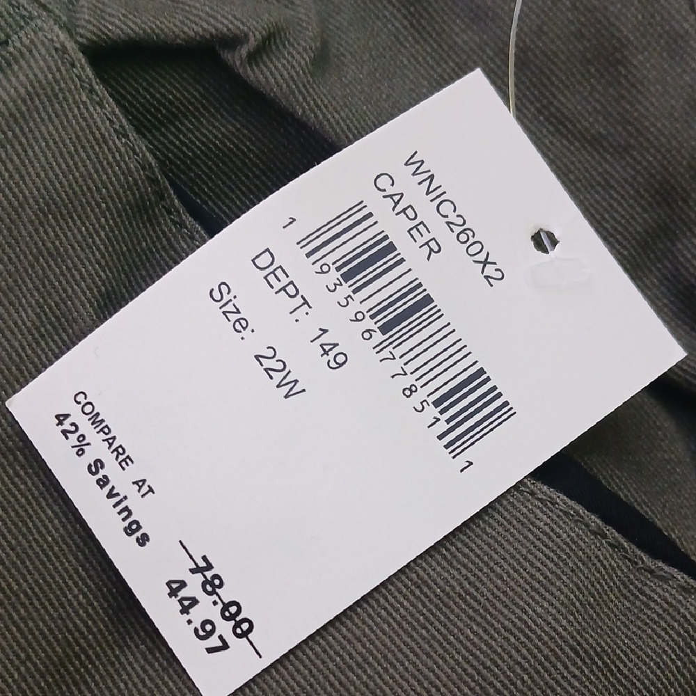 Democracy Pants - Picture 3 of 11